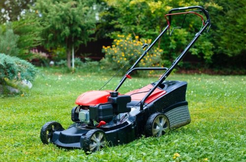 Şamaxıda həyətdən otbiçən aparat oğurlanıb