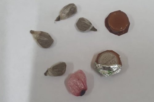 Həbsxanadakı qardaşına gödəkçəsində narkotik keçirmək istədi