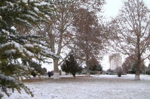 Naxçıvan şəhərinə ilk qar yağıb