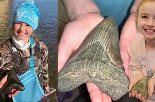 ABŞ-lı qız sahildə Meqalodon köpək balığının dişini tapıb