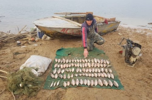 Şəmkirdə qanunsuz balıq ovu ilə məşğul olan şəxs saxlanılıb