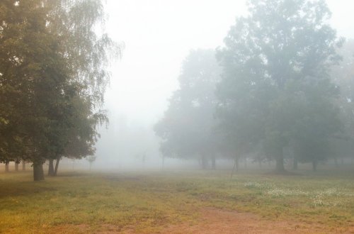 Sabah hava yağmursuz və çiskinli olacaq