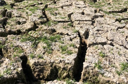 Fed ABŞ-ın 6 böyük bankından iqlim riski analizini tələb etdi