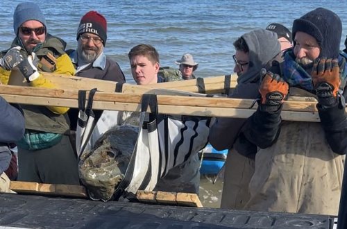 ABŞ-da 12 milyon illik balina tapılıb