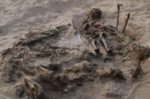 Qahirə yaxınlığında qeyri-adi tapıntı: Uşaq itlərlə birlikdə dəfn edilib - FOTO