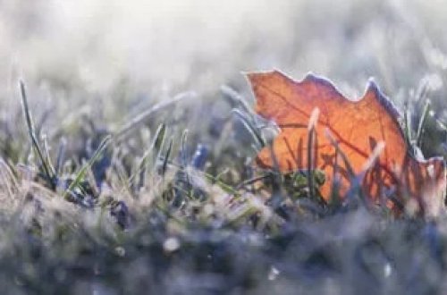 Əfqanıstanda soyuqdan 78 nəfər ölüb