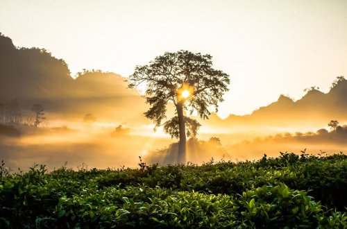 Sabah hava yağmursuz olacaq