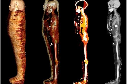 Misirdə 2300 illik mumiyanın “sirri” açılıb