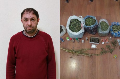 Narkotacirin evindən külli miqdarda marixuana aşkarlanıb - FOTO