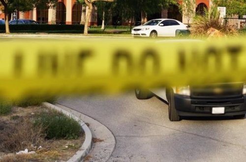 Tüfəngin tətiyinə basan it sahibini öldürüb