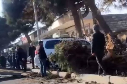 Yüksək sürətlə hərəkətdə olan “Prado” ağaclığa çırpıldı - VİDEO