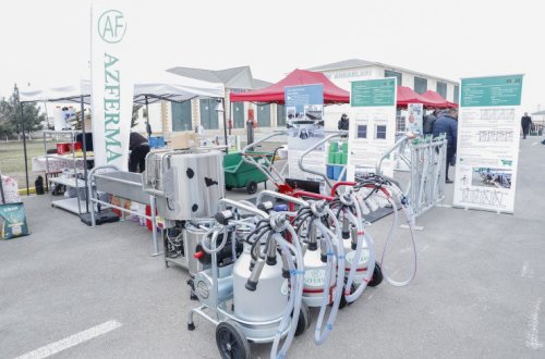 Ağdaşda bu ilin ilk Aqrar İnnovasiya Festivalı keçirilib