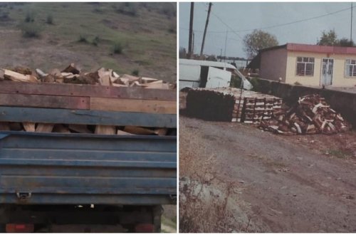 Lənkəranda qanunsuz yolla əldə olunmuş odun aşkarlanıb