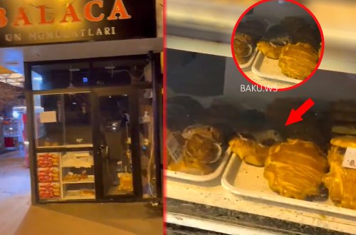 Bakıda siçan gəzən şirniyyat mağazası bağlandı - RƏSMİ - VİDEO