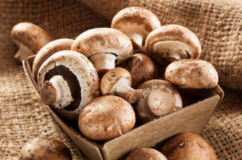 Şamaxıda bir ailə göbələkdən zəhərlənib