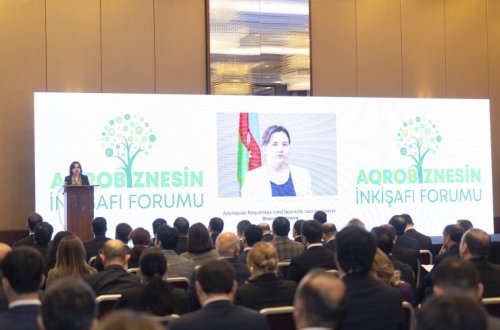 Bakıda II Aqrobiznesin İnkişafı Forumu keçirilib