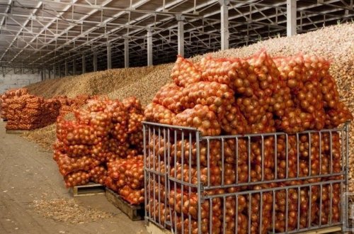 Soğanın ixracı müvəqqəti olaraq tənzimlənən malların siyahısına daxil edilib