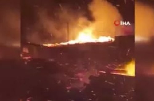 Çilidə meşə yanğını nəticəsində 750 hektar ərazi külə döndü