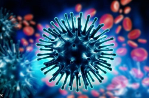 Səhiyyə Nazirliyi: 