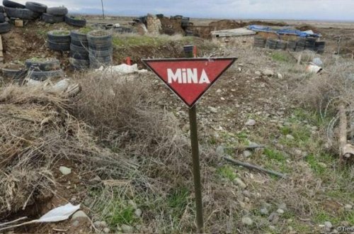 Azad edilmiş ərazilərdə ötən həftə daha 42 mina aşkarlanıb