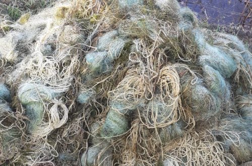 Qanunsuz ov edən şəxs saxlanılıb