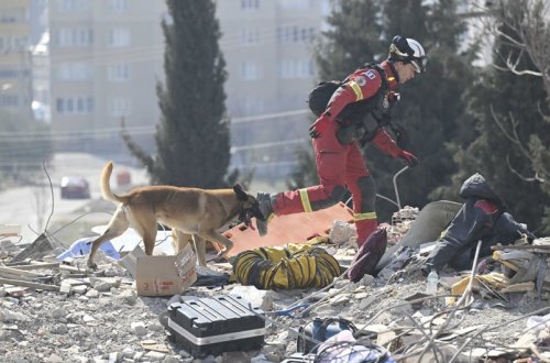 Türkiyəyə axtarış-xilasetmə və yardım heyətləri göndərən ölkələrin sayı açıqlanıb