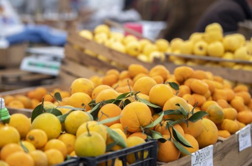 18-19 fevral tarixlərində “Kənddən Şəhərə” yarmarkaları təşkil olunacaq