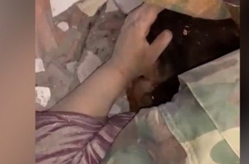 Azərbaycan xilasedicisi: 