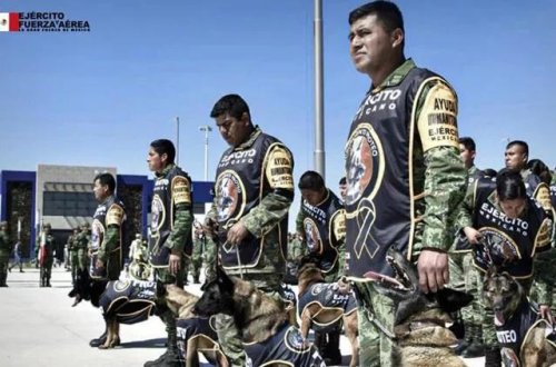 Meksikalı xilasedicilər ölkələrinə çatıb