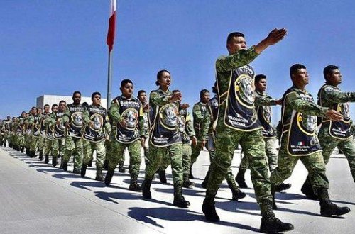 Həyatını itirən xilasedici it Proteonun mərasimi keçirilib