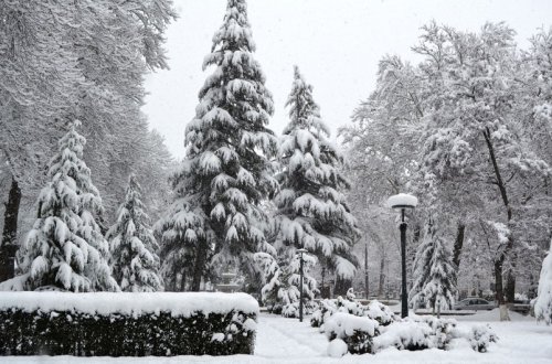 Bu həftənin ortalarında qış soyuğu olacaq, qar yağacaq