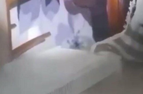 Pişiyi xilas etmək istədilər, dağıntılar altında qaldılar - VİDEO