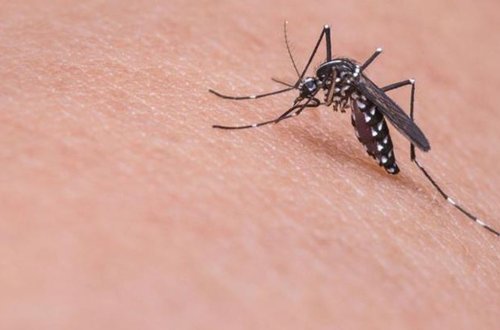 Yeni xəstəlik yayılır - Bu ölkədə fövqəladə vəziyyət elan edildi