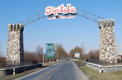 Zaqatalada heyvanların kütləvi ölümü: 50-ə yaxın cəsəd tapıldı - FOTO