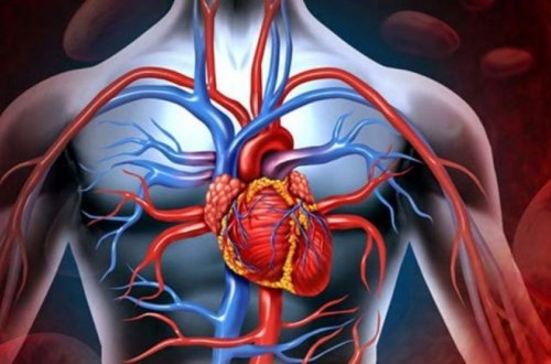 Azərbaycanda ürək və qan-damar xəstəlikləri üzrə ölüm sayında artım müşahidə olunur