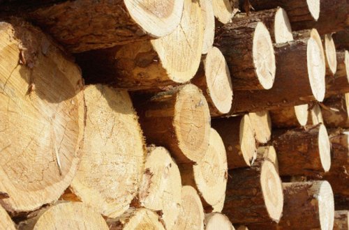 Azərbaycana qanunsuz taxta göndərən həbs olundu