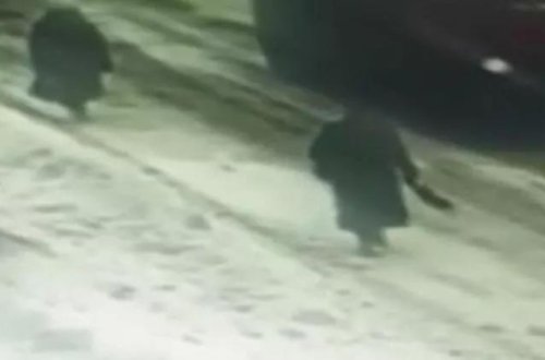 Nəhəng qar kütləsi yolda keçən piyadaların üzərinə düşdü