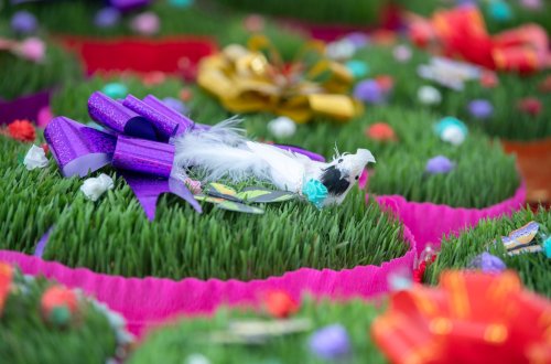 “Kənddən şəhərə” Novruz yarmarkası fəaliyyətə başlayıb