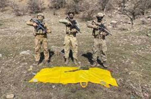 Türkiyədə ən təhlükəli terrorçu məhv edilib