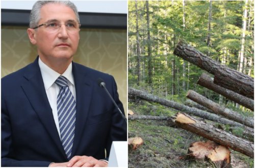 Muxtar Babayev nazirliyi idarə edə bilmir: BÜTÜN RESPUBLİKA ÜZRƏ AĞACLAR KÜTLƏVİ KƏSİLİR - RƏSMİ