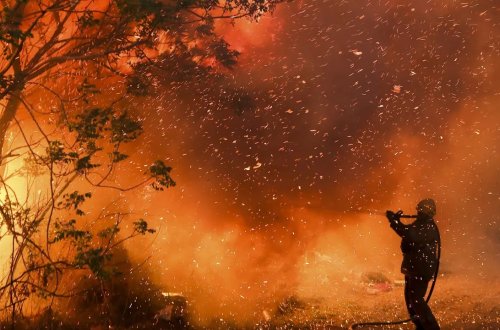 Argentinada meşə yanğınları nəticəsində 3 min hektar ərazi məhv olub