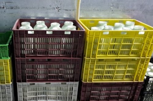 Süd məhsulları emalı müəssisəsində nöqsanlar aşkarlandı