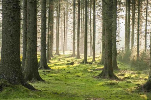 Sabah havanın temperaturu 23 dərəcəyədək artacaq