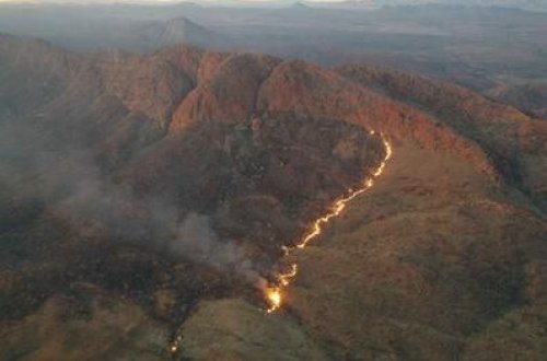 Avstraliyada yanğında 100 min hektar ərazi yanıb