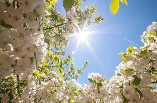 Sabah Azərbaycanda 23 dərəcə isti olacaq