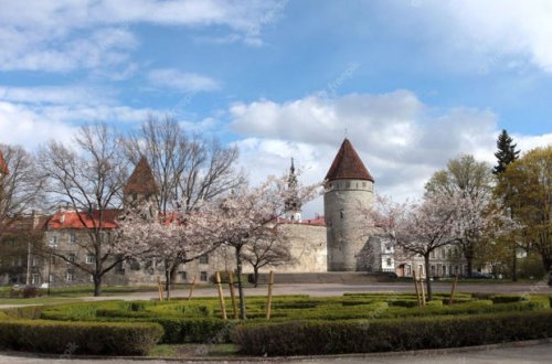 Estoniya rusiyalı diplomata beş gün vaxt verib