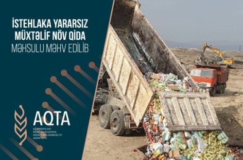 İstehlaka yararsız 19 ton qida məhsulu məhv edilib