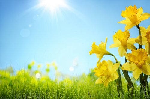 Sabah havanın temperaturu 28 dərəcəyədək artacaq