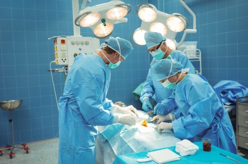 Azərbaycanda gələcəkdə ürək və ağciyər köçürülməsi əməliyyatları icra olunacaq