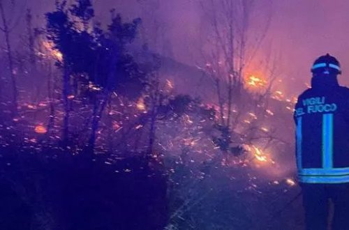 İtaliyada meşə yanğınında alov evlərə yaxınlaşıb